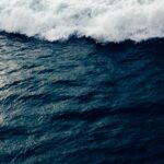 patrick-fore-UXNVP2231BI-unsplash